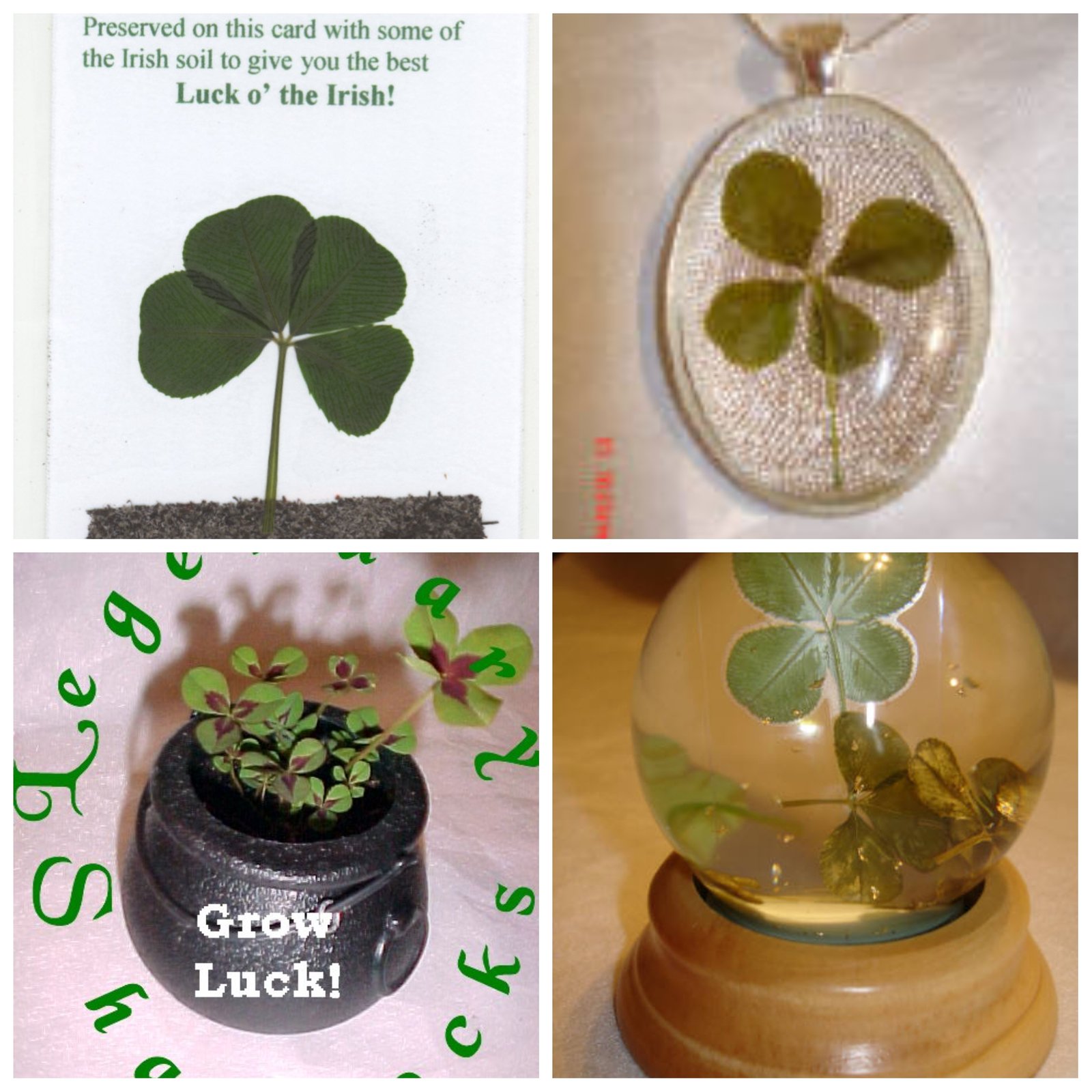 Four Leaf Clover Products